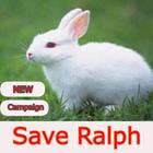 Save Ralph ícone