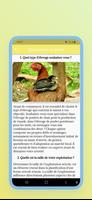 Aviculture moderne تصوير الشاشة 1