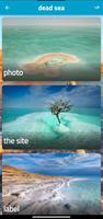 dead sea plakat