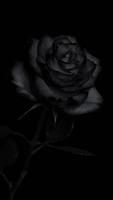 poesia de amor syot layar 3