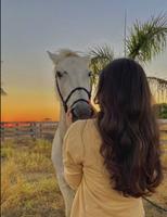 horse images screenshot 3