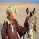 قصة جحا والحمار وابنه APK