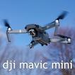 Dji mavic mini guide