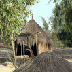 Contes Africains