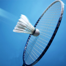 badminton tips & tricks APK