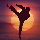 daily karate training иконка