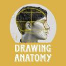Drawing anatomy APK