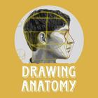 Drawing anatomy icône