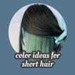 color ideas for short hair-icoon