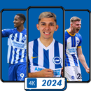 Brighton Wallpaper 2024 APK