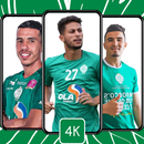 خلفيات الرجاء البيضاوي 2024 APK