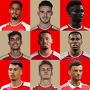 Arsenal Wallpaper 2024 APK