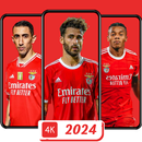 Benfica Wallpaper 2024 APK