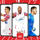 خلفيات الوداد البيضاوي 2024 APK