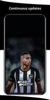 Botafogo Wallpaper screenshot 1