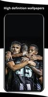 Botafogo Wallpaper screenshot 2