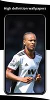 Fulham Wallpaper screenshot 1