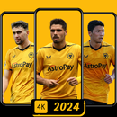 Wolverhampton Wallpaper 2024 APK