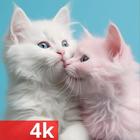 Cute Animal Wallpaper biểu tượng