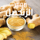 APK فوائد الزنجبيل و شرح كامل عنه