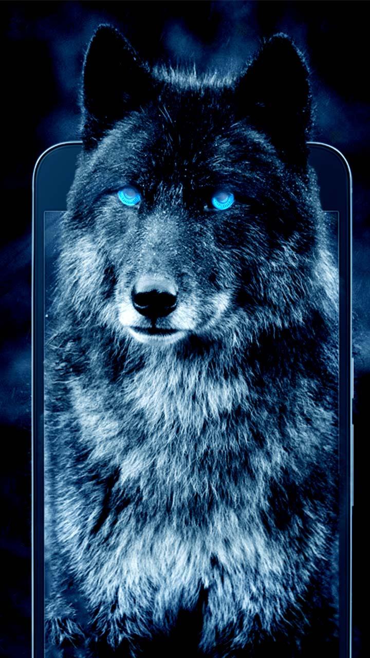 Волков про телефон. Красивый волк. Тема волк. Волки крутые. Волк на заставку.