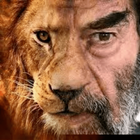 اقوال صدام حسين -معلومات نادرة icône