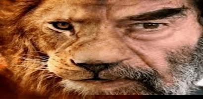 اقوال صدام حسين -معلومات نادرة Plakat
