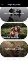 Poster Dog names