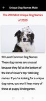 2 Schermata Dog names
