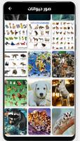 أسماء الحيوانات بالانجليزية screenshot 1