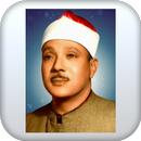 القارئ عبد الباسط عبد الصمد APK