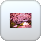 خلفيات فخمه للهاتف 2022 icon