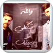 اغنية شكلي حبيتك بدون نت