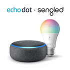 echo dot guild-icoon