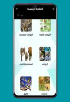 صور الحيوانات Animal photos poster