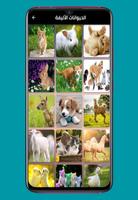 صور الحيوانات Animal photos screenshot 1