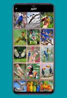 صور الحيوانات Animal photos screenshot 2