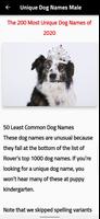 unique dog name Affiche