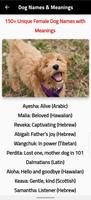 unique dog name 截圖 1