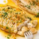 Fish fillets recipes APK