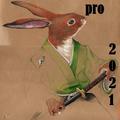 rabbit samurai pro