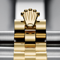 Rolex watch guide