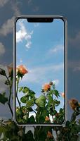 صور خلفيات ورد - خلفيات ورود Screenshot 1