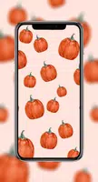Cute Fall Wallpapers HD screenshot 2
