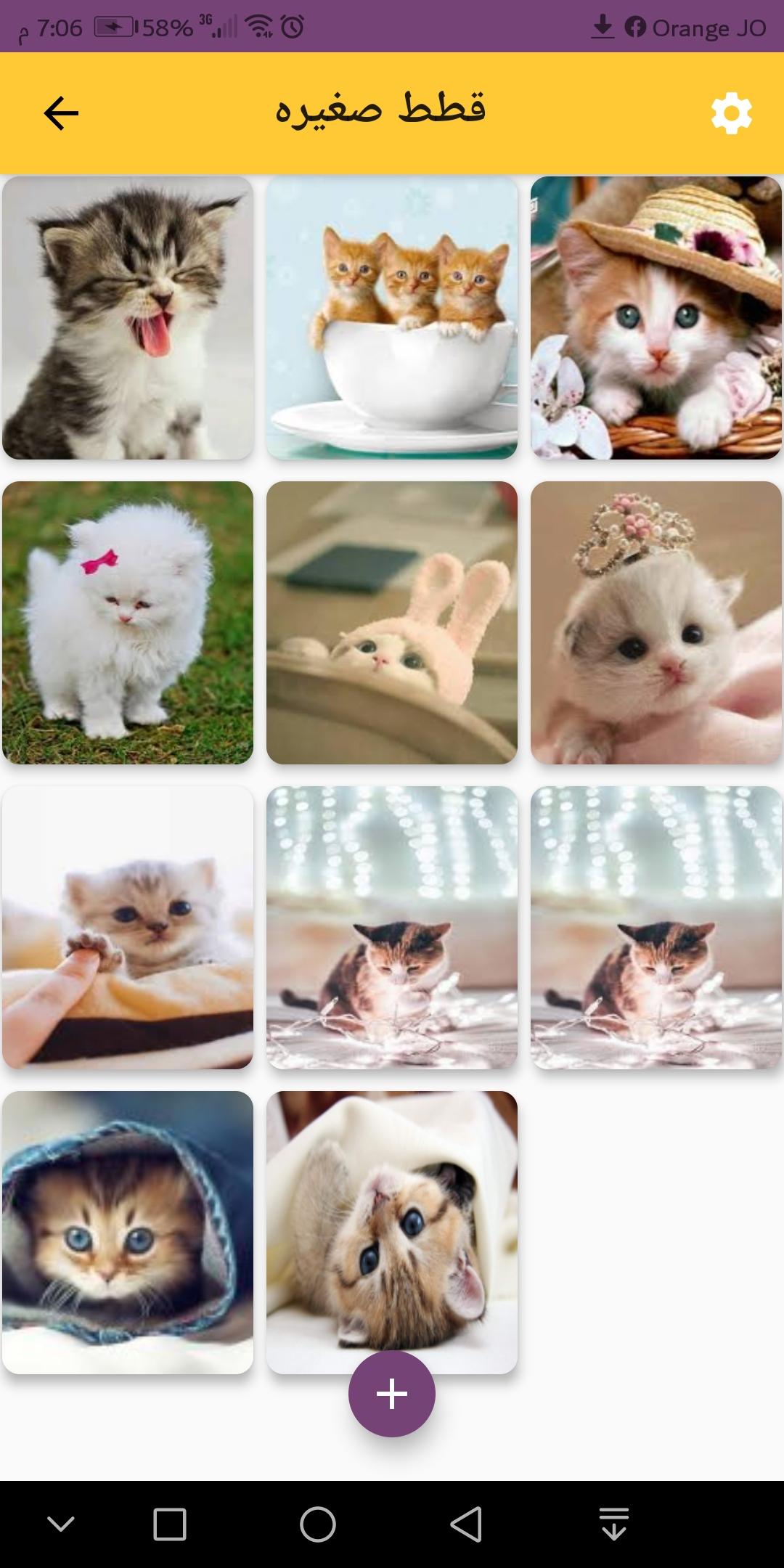 صور قطط كيوت cute cat APK for Android Download