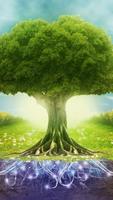 1 Schermata Environment wallpaper