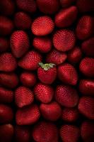 3 Schermata Strawberry wallpaper HD