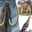 Extinct animals