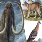 Extinct animals أيقونة