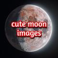 cute moon images